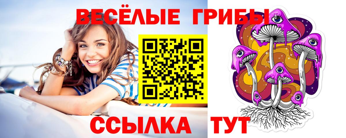Псилоцибиновые грибы GOLDEN TEACHER  Вход с VPN  Галлюциногенные грибы мицелий  Учалы 