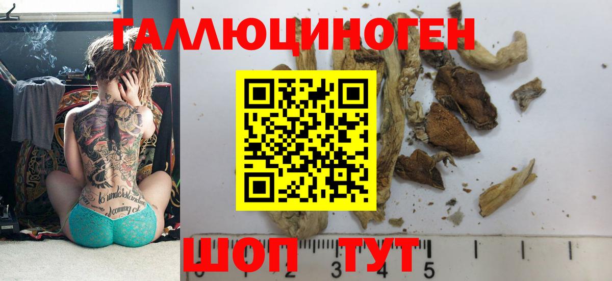 Галлюциногенные грибы Cubensis Учалы